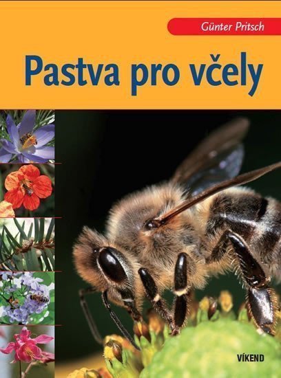 Pastva pro včely – Pritsch Günter