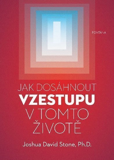 Jak dosáhnout vzestupu v tomto životě – Stone Joshua David