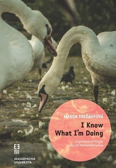 I Know What Im Doing Experiences of Women who Use Methamphetamine – Frišaufová Magda