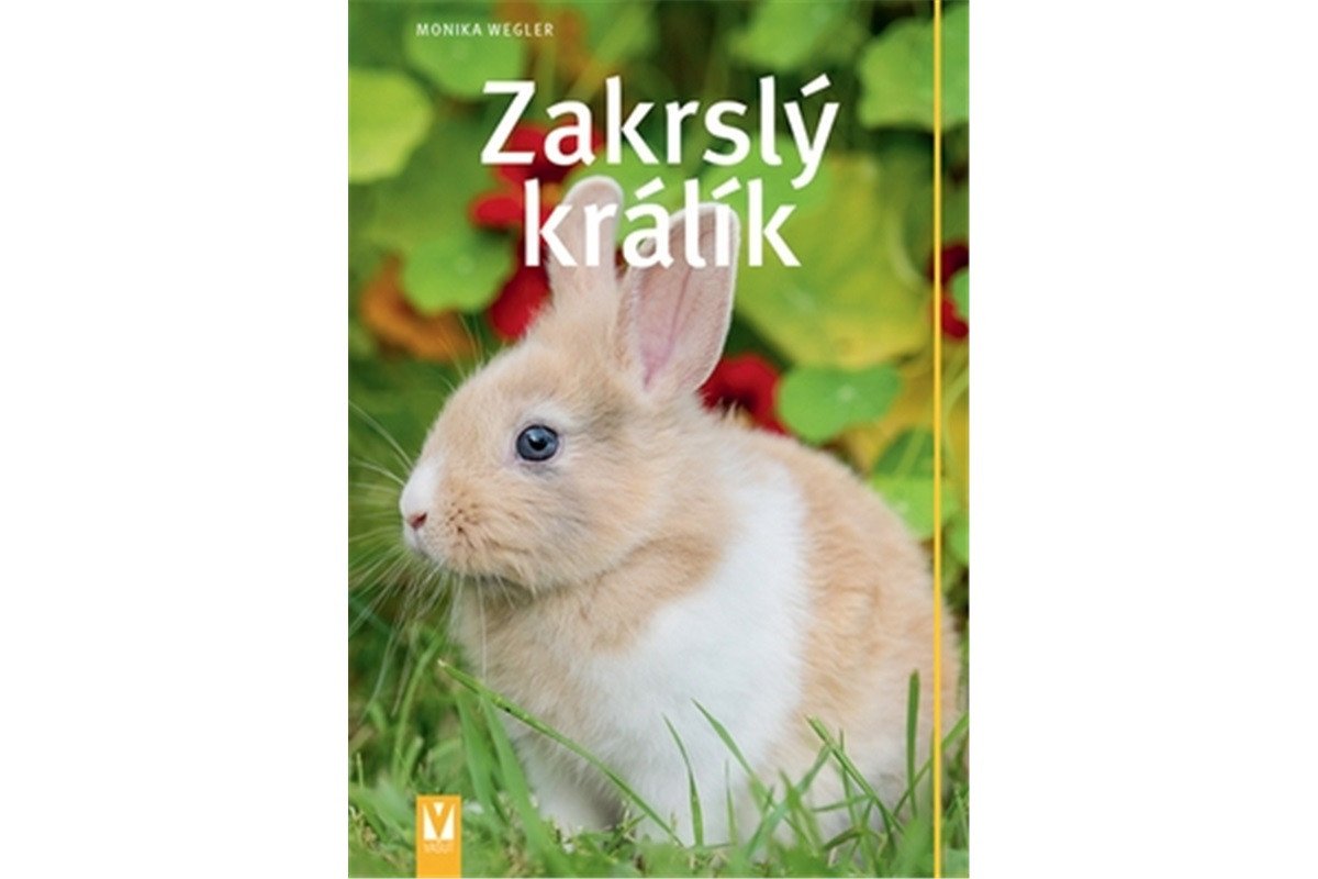 Zakrslý králík – Weglerová Monika