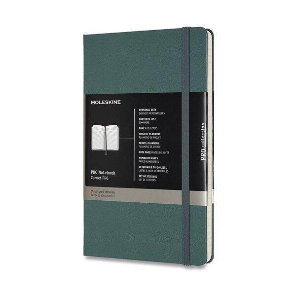 Zápisník Moleskine Professional - tvrdé desky L - tm zelený