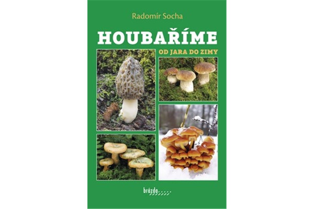 Houbaříme od jara do zimy – Socha Radomír