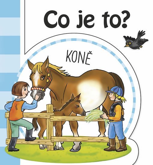 Co je to Koně