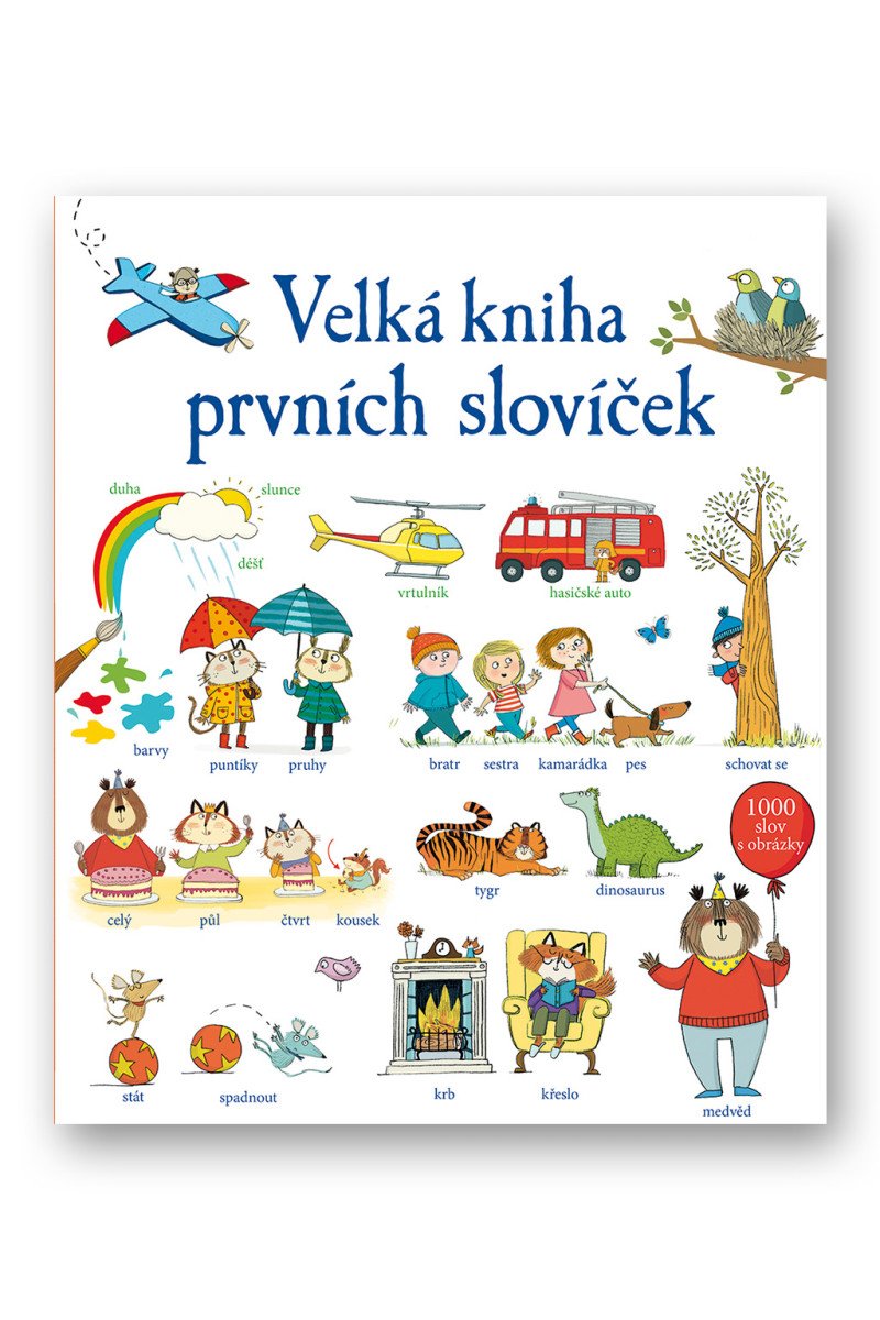 Velká kniha prvních slovíček – Mackinnon Mairi