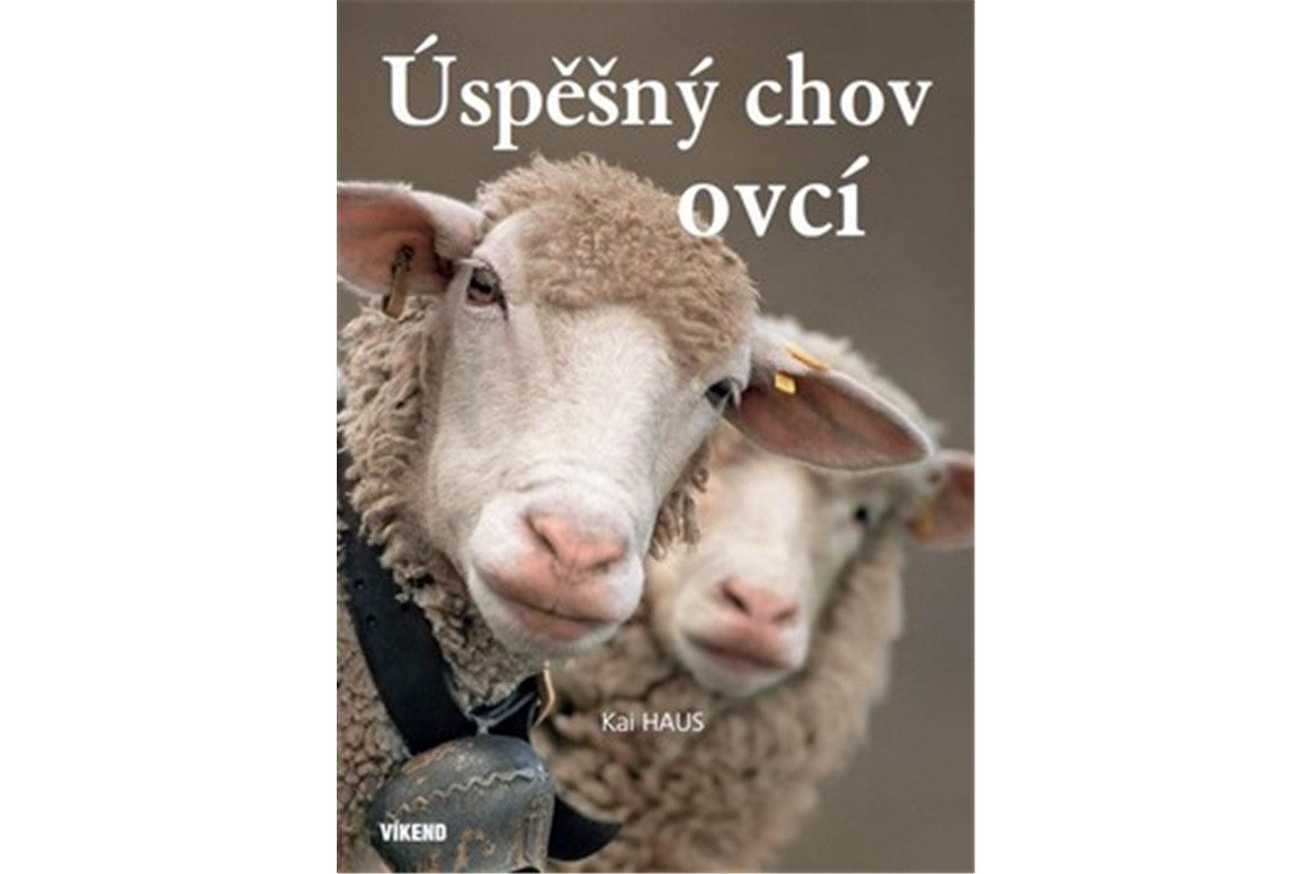 Úspěšný chov ovcí – Haus Kai