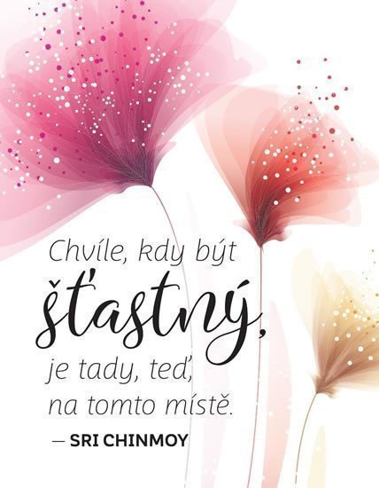 Magnet na lednici - Chvíle kdy být šťastný jen tady a teď na tomto místě