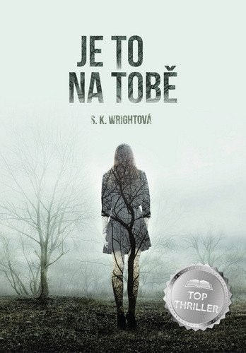 Je to na tobě – Wrightová S. K. (2020)