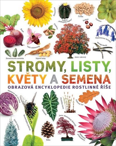 Stromy listy květy a semena - Obrazová encyklopedie rostlinné říše – Jose Sarah