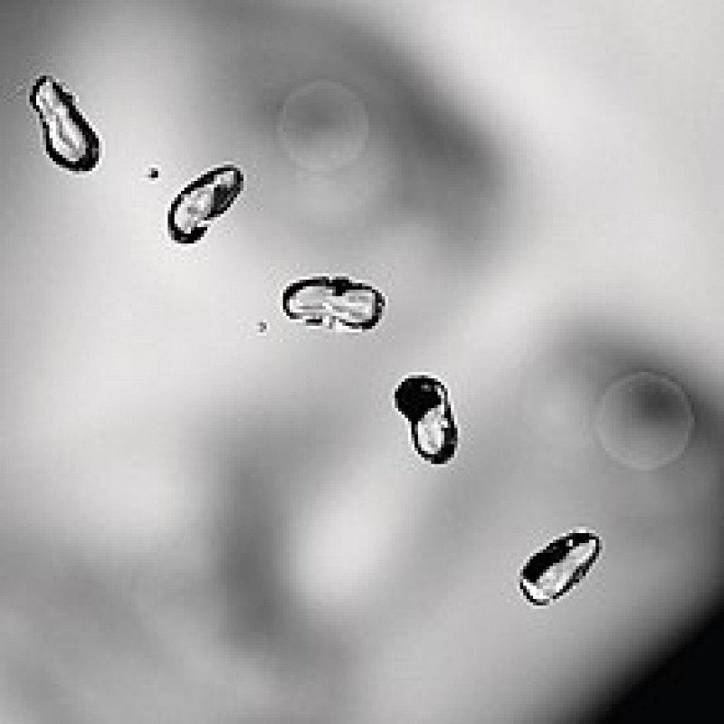 Peter Gabriel Up - 2 LP