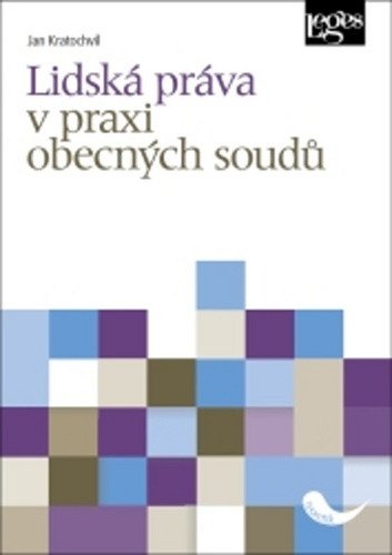 Lidská práva v praxi obecných soudů – Kratochvíl Jan