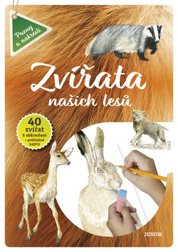 Zvířata našich lesů - 40 zvířat k obkreslení průhledné papíry