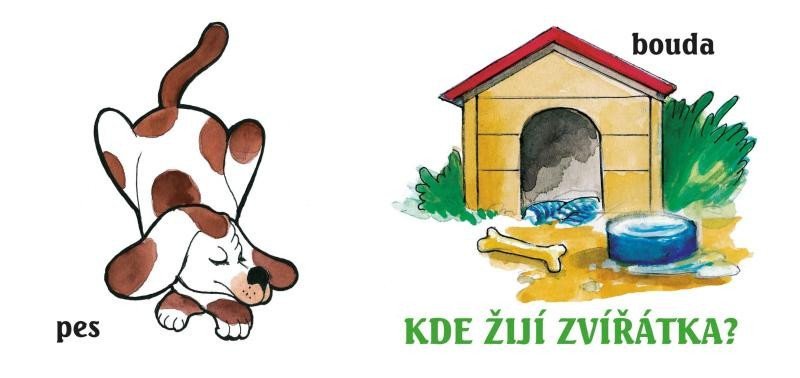 Kde žijí zvířátka