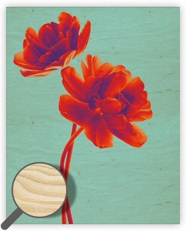 Obraz dřevěný Tulip 240x300