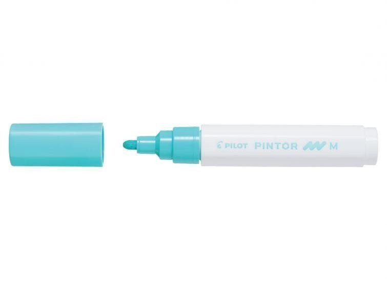 PILOT Pintor Medium akrylový popisovač 15-22mm - pastelový zelený