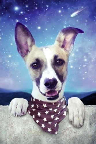 Gump - 3D pohyblivá pohlednice