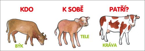 Kdo k sobě patří? (2021)