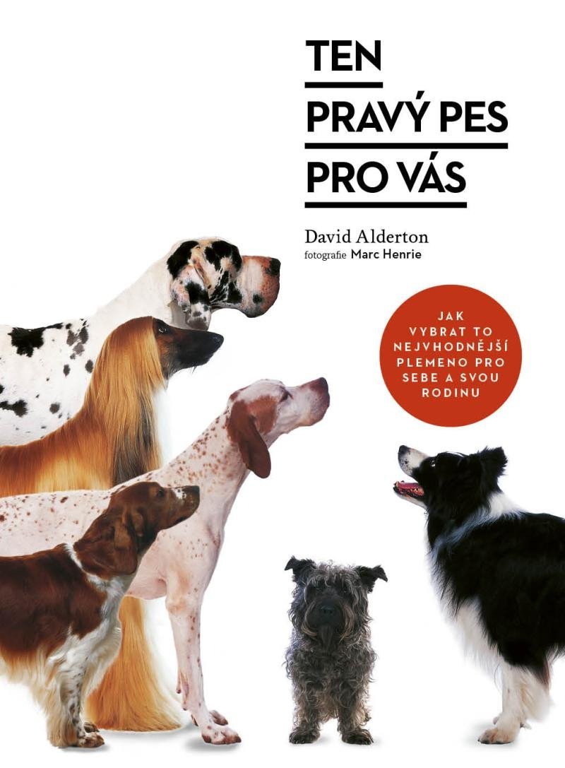 Ten pravý pes pro vás – Alderton David