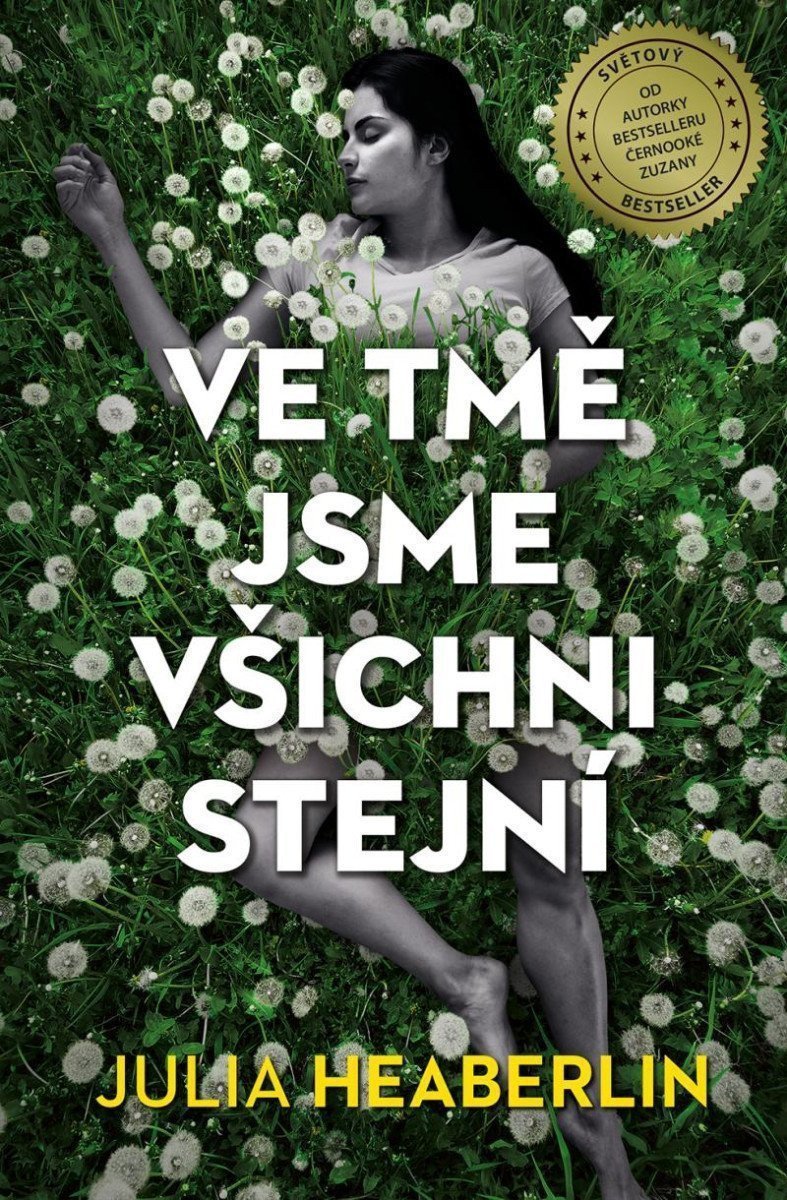 Ve tmě jsme všichni stejní – Heaberlin Julia