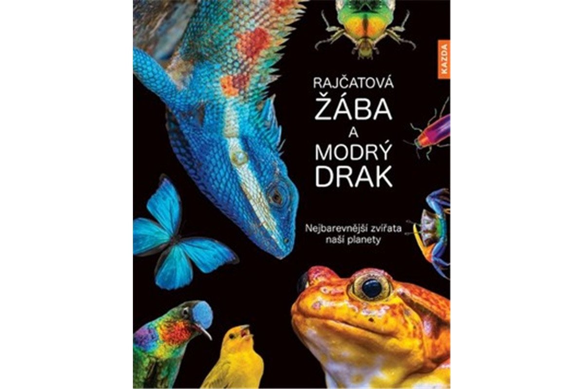 Rajčatová žába a modrý drak - Nejbarevnější zvířata naší planety – Köhrsenová Andrea