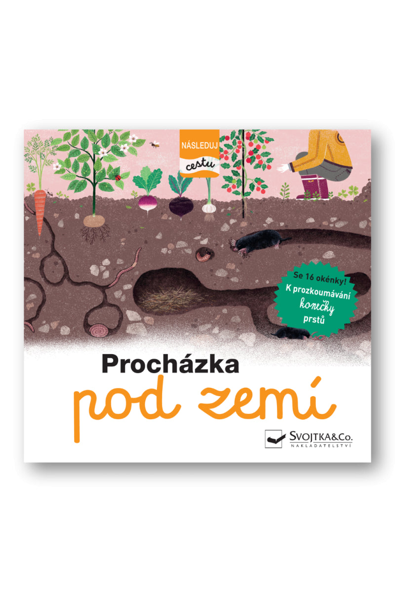Procházka pod zemí - Následuj cestu – de Lambilly Élisabeth