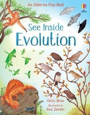 See Inside Evolution – Bone Emily