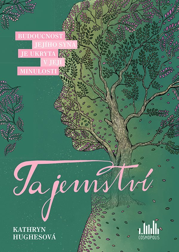 Tajemství - Budoucnost jejího syna je ukryta v její minulosti – Hughes Kathryn