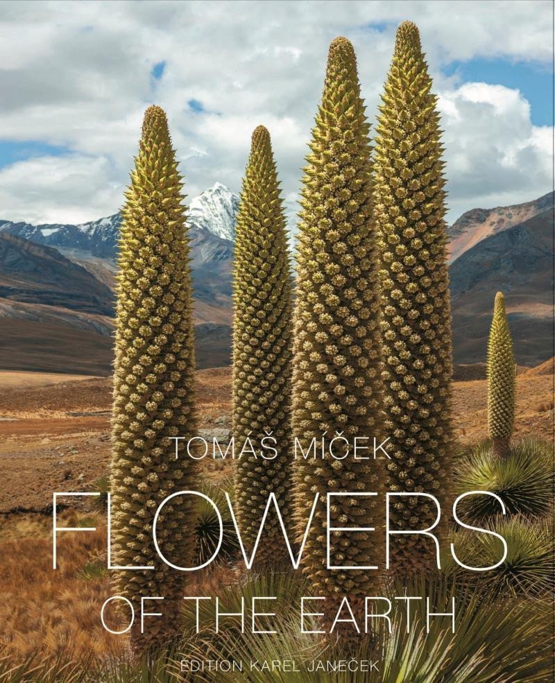 Flowers of the Earth – Míček Tomáš