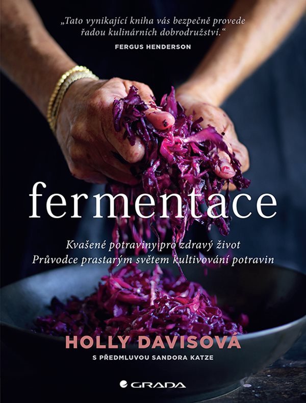 Fermentace - Kvašené potraviny pro zdravý život – Davisová Holly