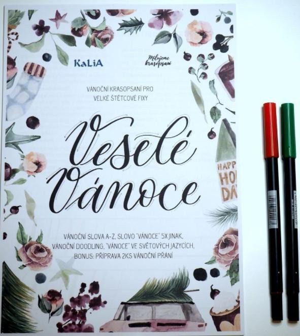 Tombow Vánoční sada krasopísanka 2 ABT fixy