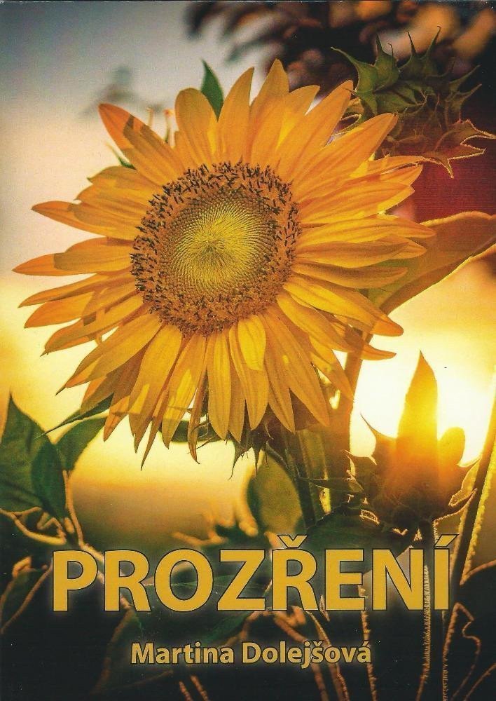 Prozření – Dolejšová Martina