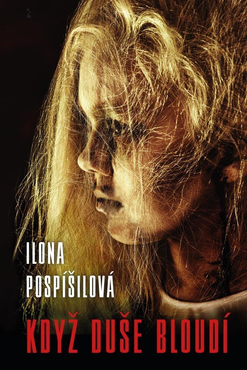 Když duše bloudí – Pospíšilová Ilona