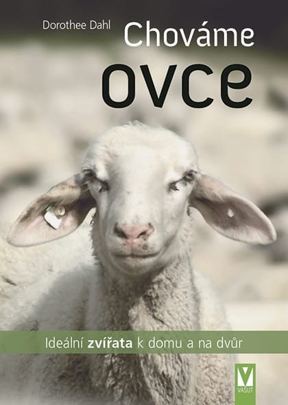 Chováme ovce - Ideální zvířata k domu a na dvůr – Dahl Dorothee