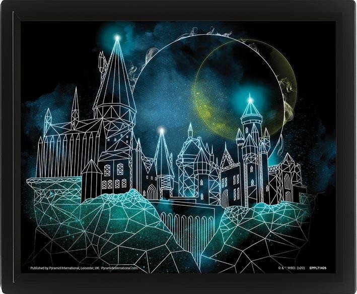 Harry Potter Obraz 3D - Bradavice