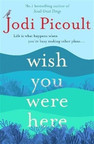 Wish You Were Here – Picoultová Jodi