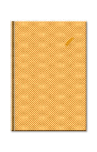 Notes Elegantzlatý