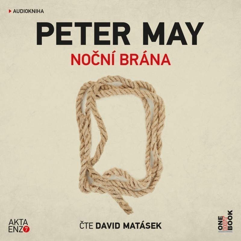 Noční brána - 2 CDmp3 Čte David Matásek