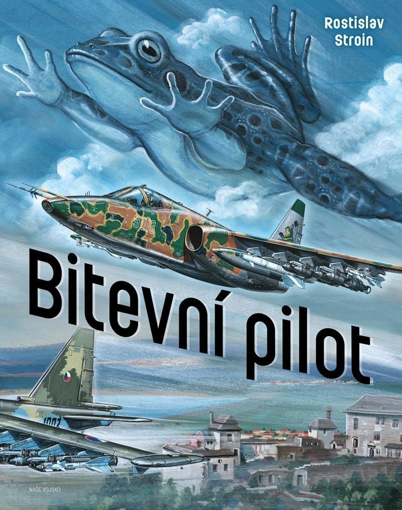 Bitevní pilot – Stroin Rostislav