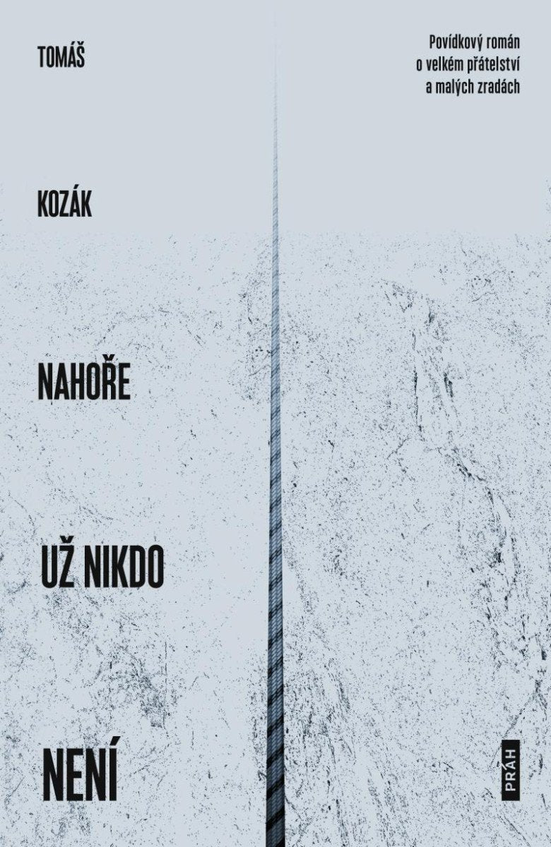Nahoře už nikdo není - Povídkový román o velkém přátelství a malých zradách – Kozák Tomáš