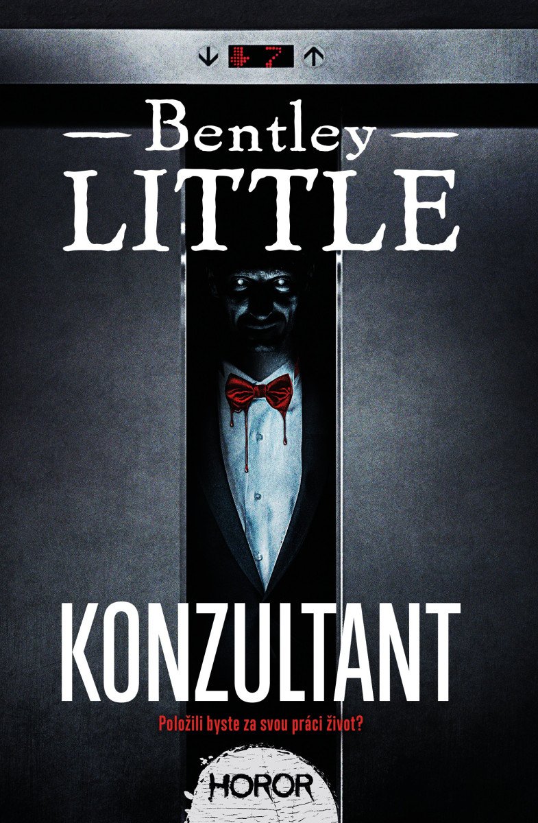 Konzultant – Little Bentley
