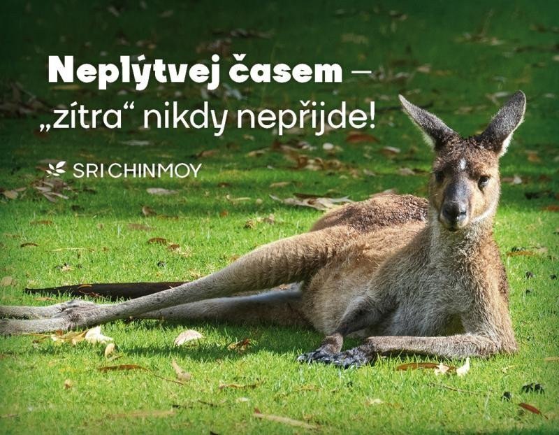 Magnet na lednici Neplýtvej časem