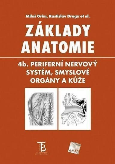 Základy anatomie 4b - Periferní nervový systém smyslové orgány a kůže – Grim Miloš