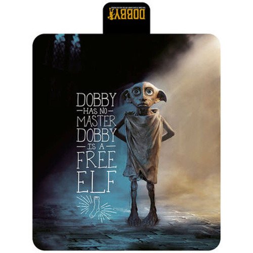 Harry Potter Pikniková deka - Dobby