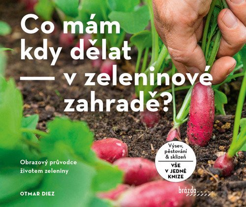 Co mám kdy dělat - v zeleninové zahradě – Diez Otmar
