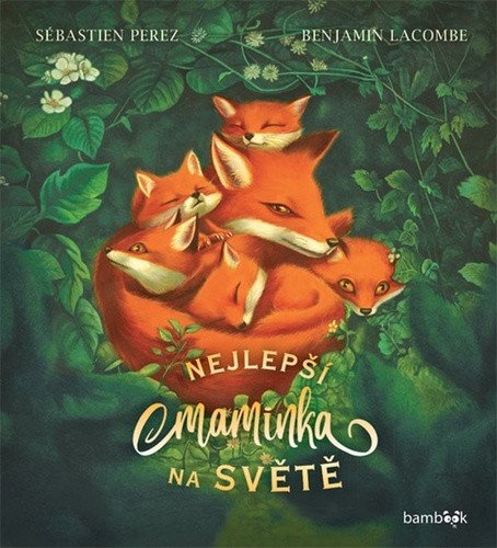 Nejlepší maminka na světě – Perez Sébastien