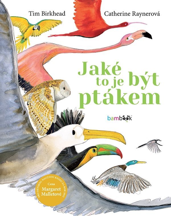 Jaké to je být ptákem – Birkhead Tim