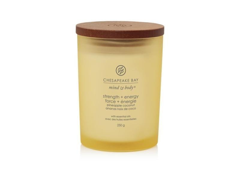 Vonná svíčka CHESAPEAKE BAY CANDLE Strength Energy 250g
