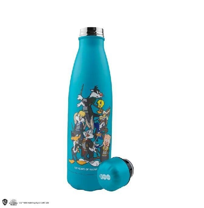 Looney Tunes Nerezová láhev 500 ml - Looney Tunes at Hogwarts