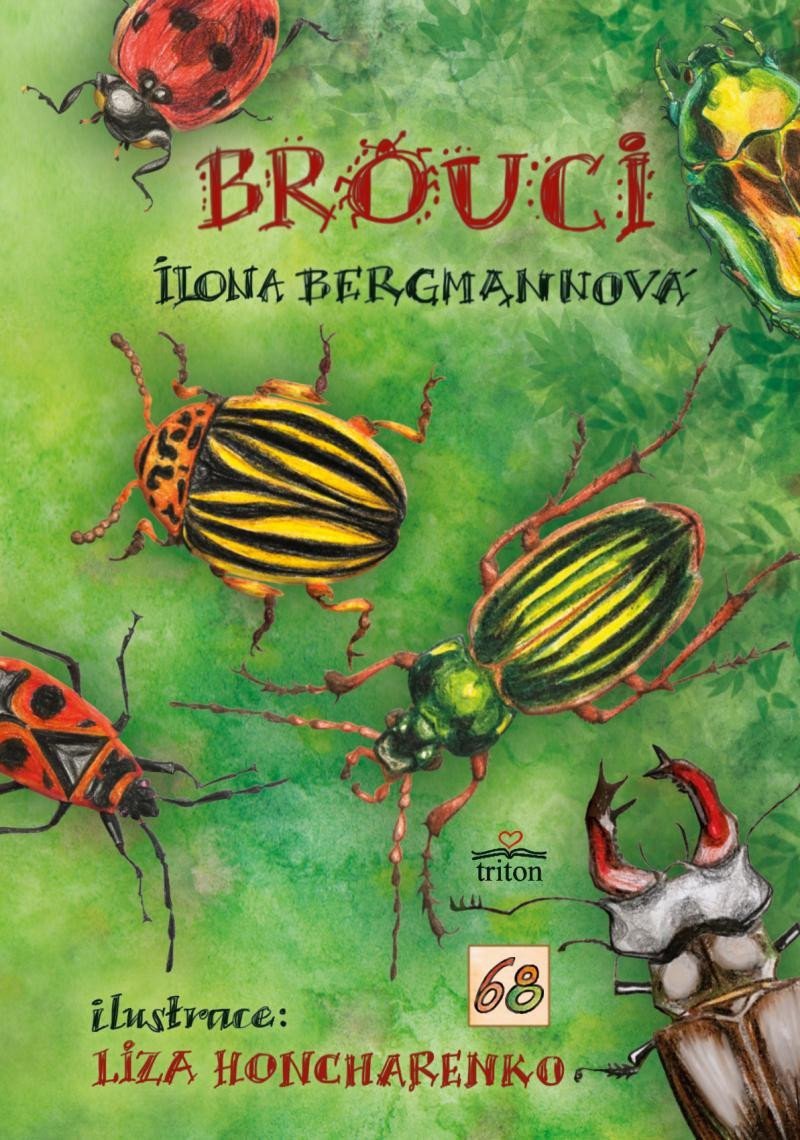 Brouci – Bergmannová Ilona