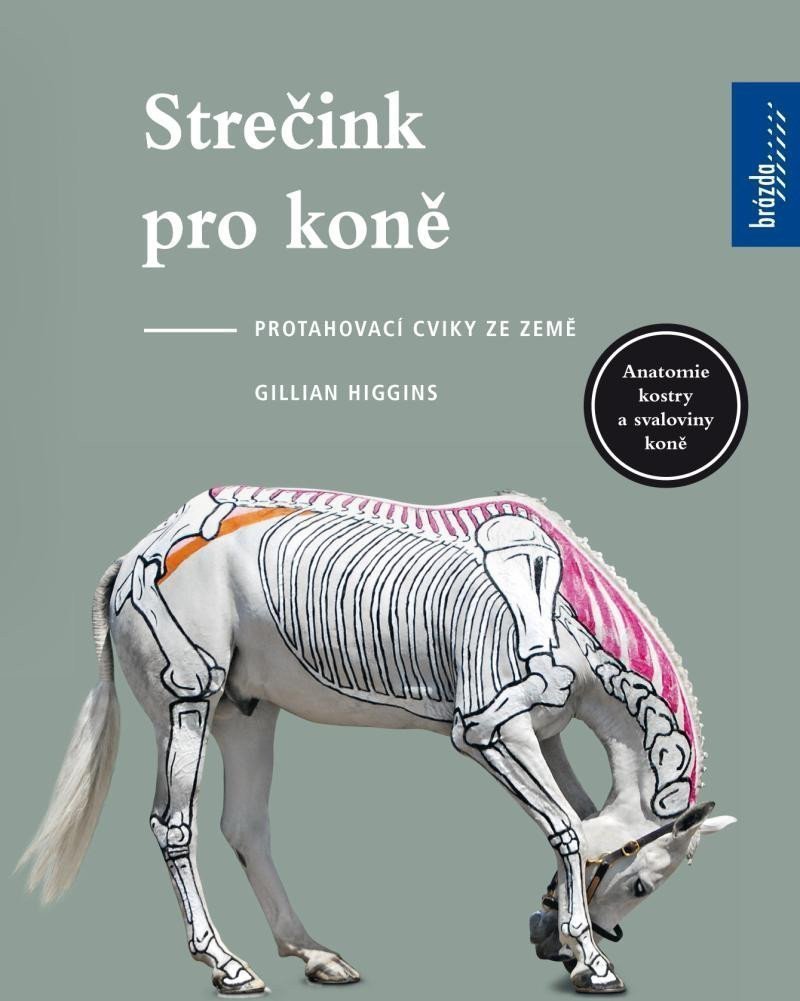 Strečink pro koně - Protahovací cviky ze země – Higgins Gillian