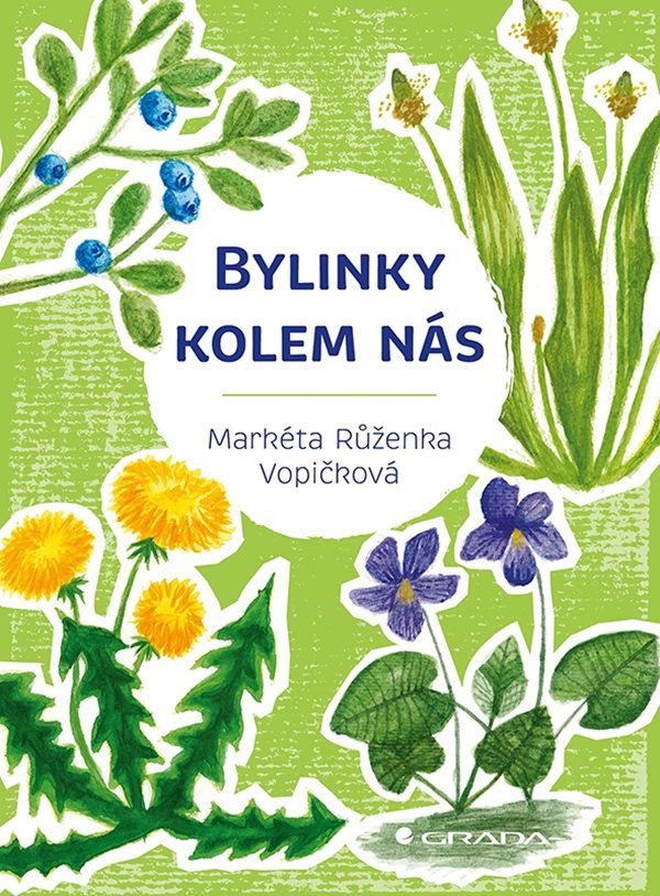 Bylinky kolem nás – Vopičková Markéta Růženka